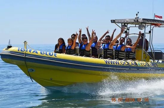 Ocean4you - Marine Tourism