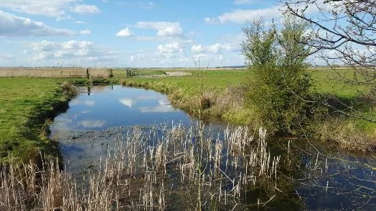 Northward Hill Nature Reserve