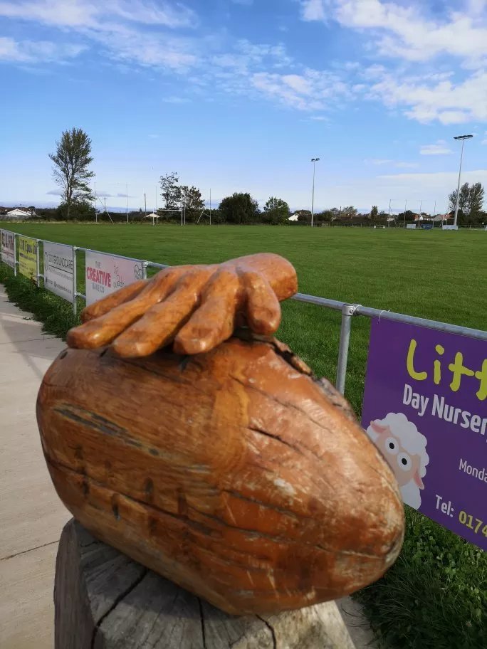Rhyl Rugby Club