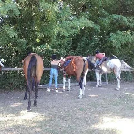 Centre Equestre des Bauges