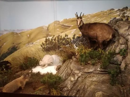 Museo Etnografico E Naturalistico Val Sanagra
