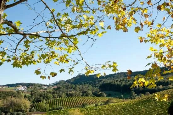 Quinta de Sant'Ana