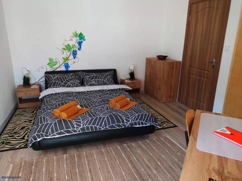 Dom Za Gosti Osogovo