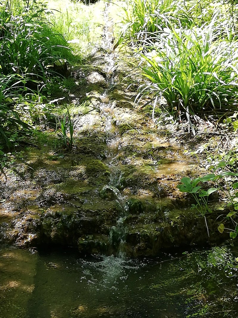 Jardin de la Biodiversite