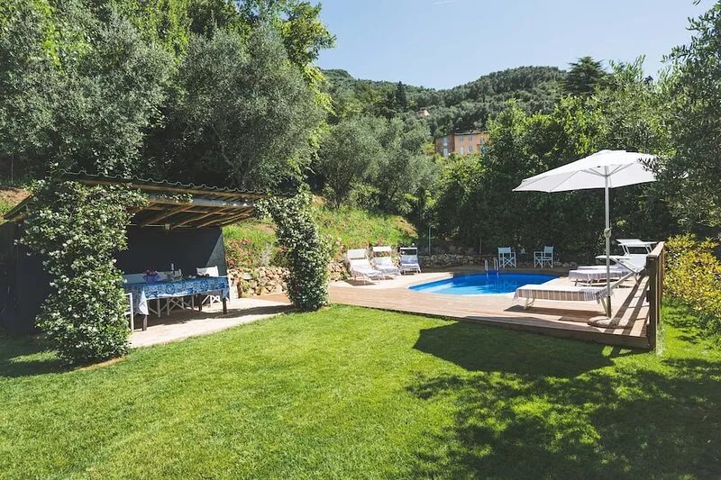 Beautiful house with swimming pool surrounded by greenery, modern, luxury