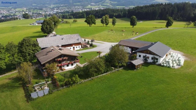 Bauernhof Biobauernhof Oberhasling