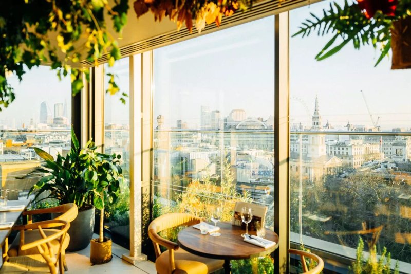 Garden Rooftop