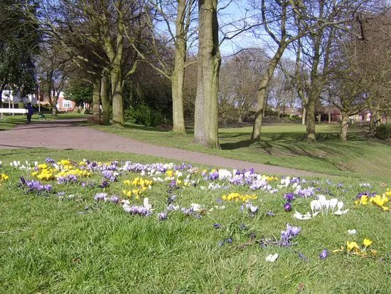 Netherton Park