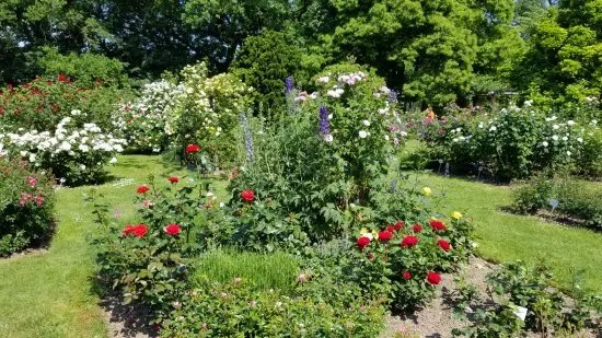 Botanischer Garten