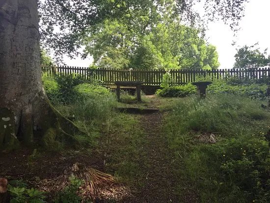 The Lady's Well