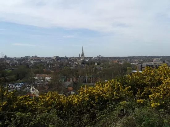 Mousehold Heath