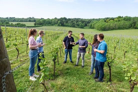 Grape and Grain Tours