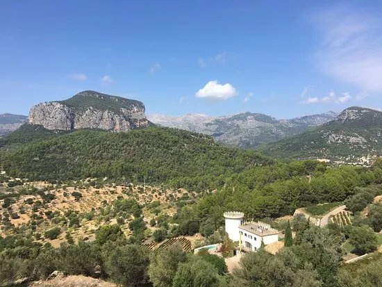 Bodega Castell Miquel