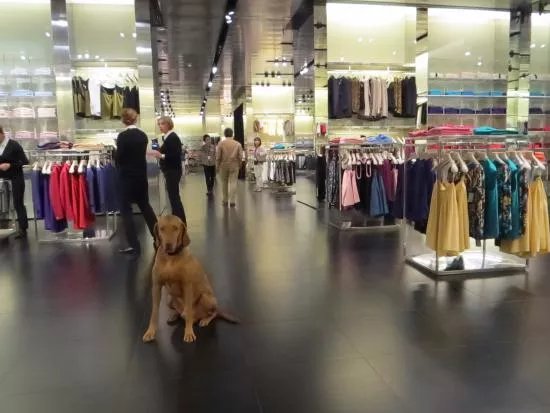 Prada Outlet (Space)