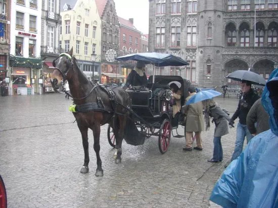 Bruges by Horse-Drawn Carriage