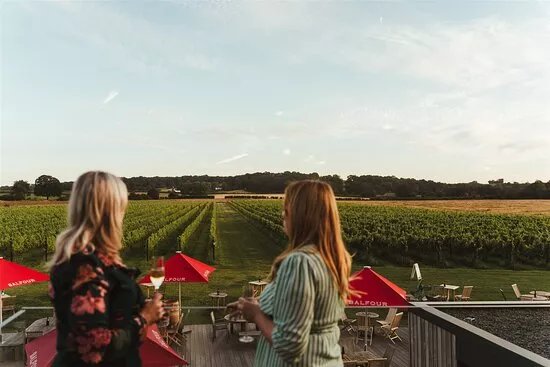 Balfour Winery