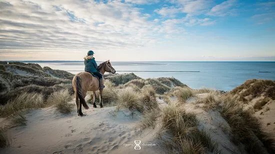 Espace Equestre Henson - La Moliere de Berck