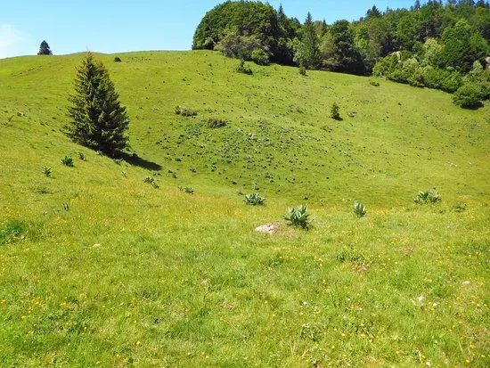 La Tourbiere des Creusates