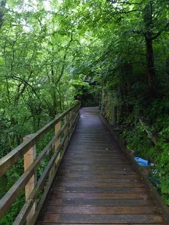 The Dingle (Nant y Pandy) Nature Reserve