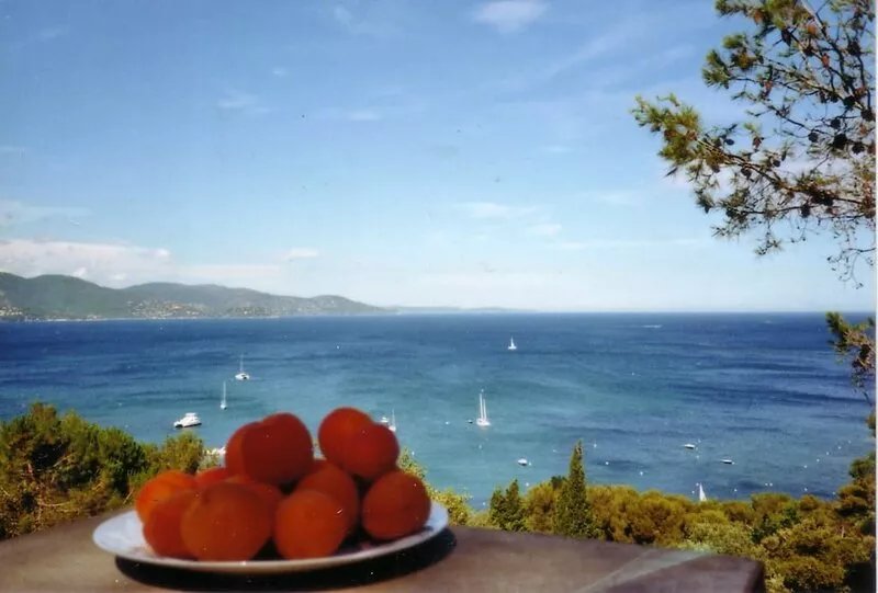 Beautiful, bright, sunny house Domaine du Gaou Bénat with panoramic sea views