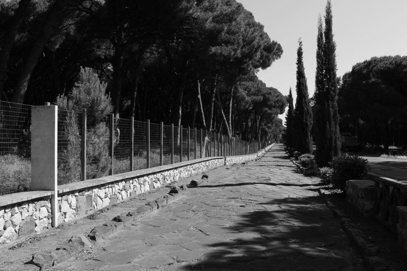 Via Romana Alla Pineta Della Campana