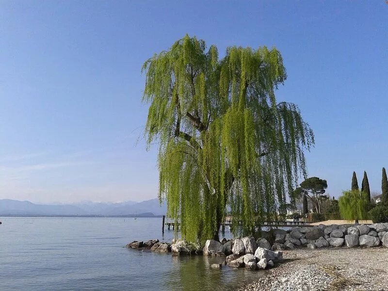Two-room lakefront apartment - Promotion From August 16 -25, 2023 15 % discount