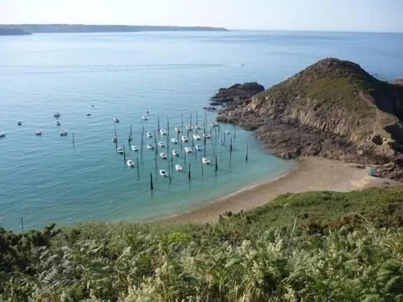 Family house, 3 bedrooms 7 percent, with large garden Pludual, 15km of Paimpol