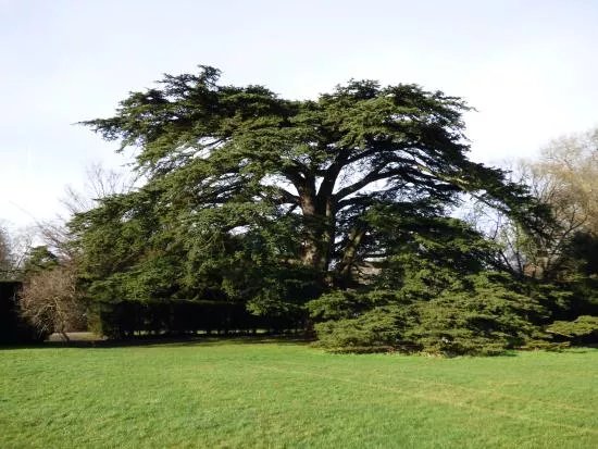 Abbey Grounds Park