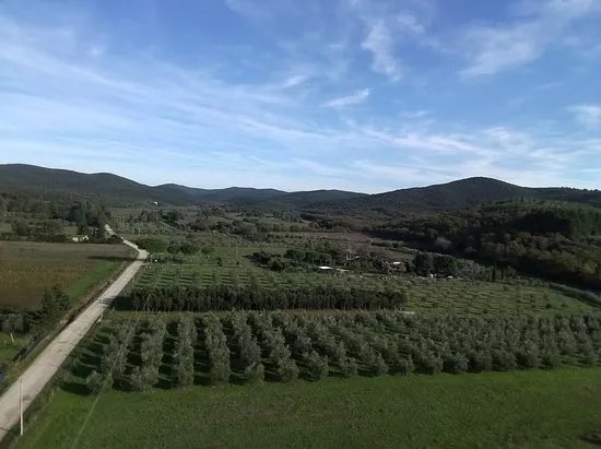 Azienda Agricola Micol Carraro