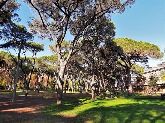 Parc Dels Pinetons