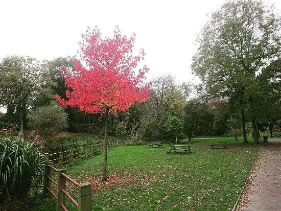 Barnes Park