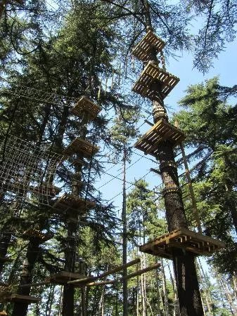Parco Avventura Salice Terme