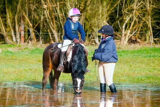 Noakes Farm Riding Centre