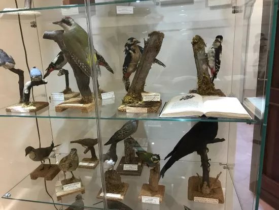 Museo Naturalistico Francesco Mina Palumbo