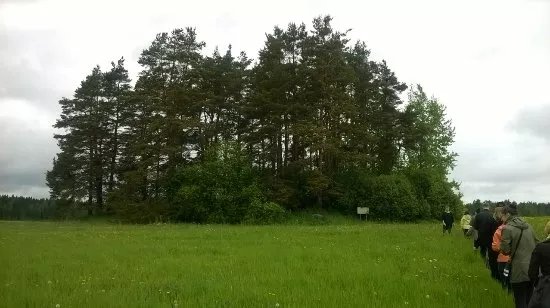 Monineuvo Matkapalvelut
