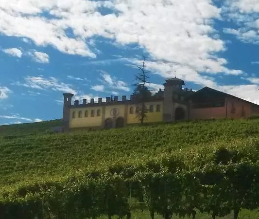 Azienda Vitivinicola Pier