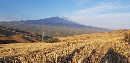 Azienda Agricola Spitaleri