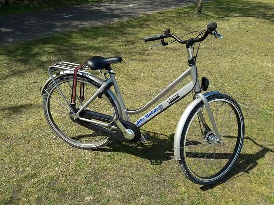 Bike Mobile Lisse / De Nachtegaal