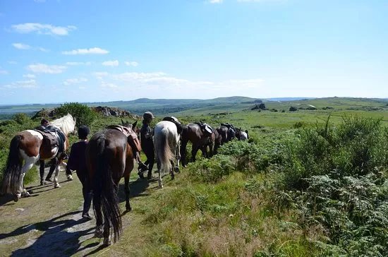 Ferme Equestre La Haie Du