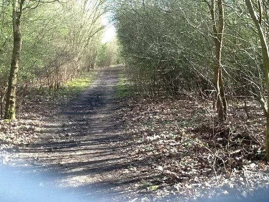 Beverley Parks Nature Reserve