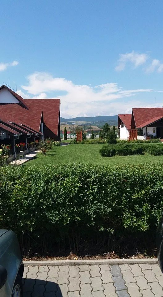 Drumul Dragostei