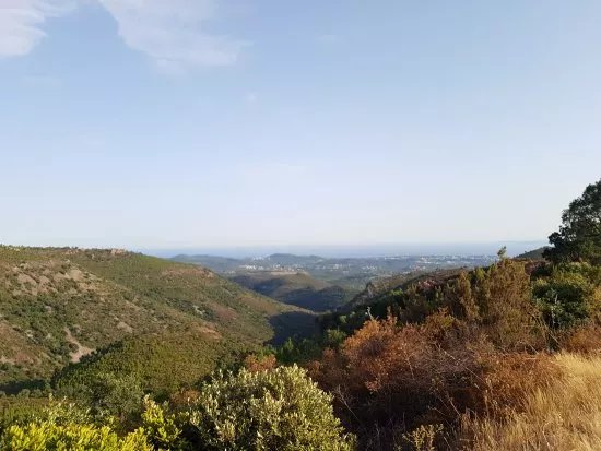 Mont Vinaigre