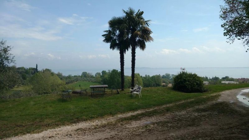 Azienda Agricola Montecorno Bevedere
