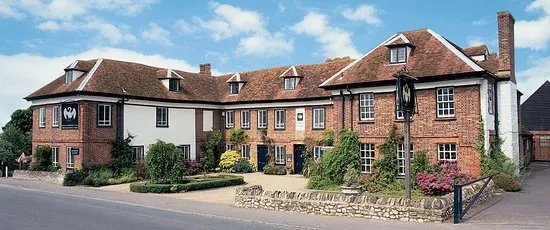 The Swan