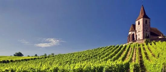 Domaine David Ermel & Fils