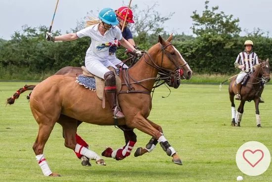 Bluey's Polo Club