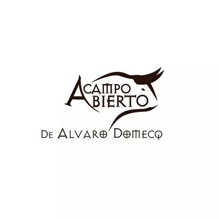 A CAMPO ABIERTO