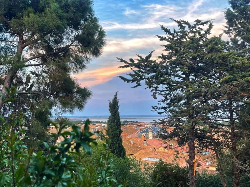 Les Terrasses De La Palme