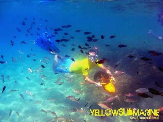 Yellow Submarine Sea Scooter Rental