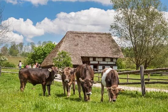 Schwabisches Bauernhofmuseum Illerbeuren (Swabian Farm Museum Illerbeuren)